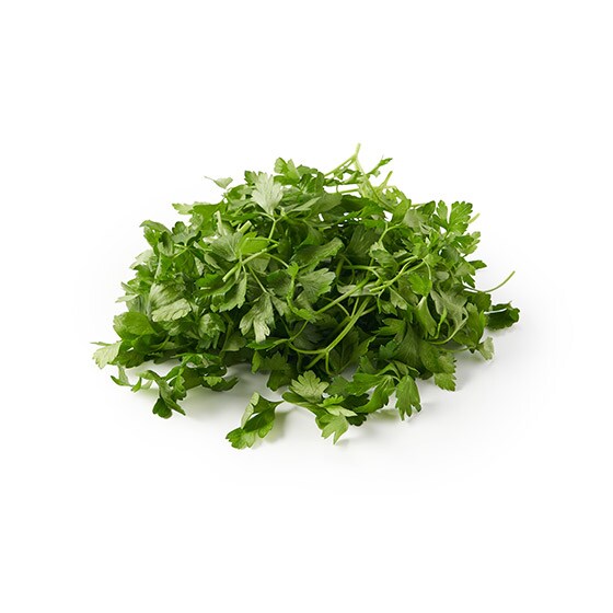 ypbgVegezgbsOɁIJbgC^ApZ