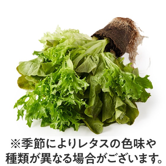 �������Ċ����I3��̃��[�t���^�XMIX(�V�����Y)