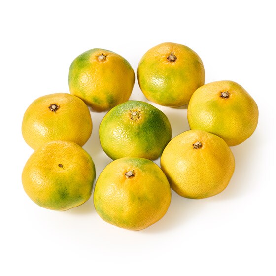 yeʁzƂ낯Â̂߂݂(1kgF{Y)