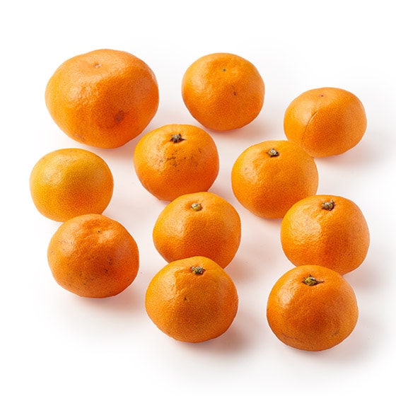 �y��e�ʁz�݂݂���(���Q���Y)