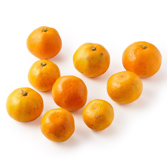 yeʁzƊÎ_ς ݂(F{Y)