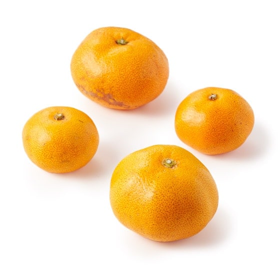 �݂΂��݂���(�{�茧�Y)