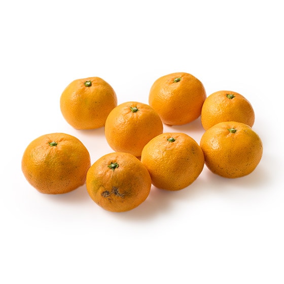 yeʁzӂ낢݂(1kg 茧Y)