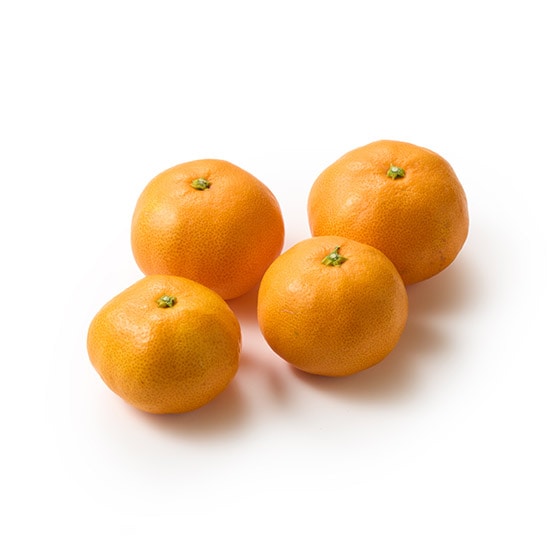 n100NV_̂Ƃ떨݂(QY)