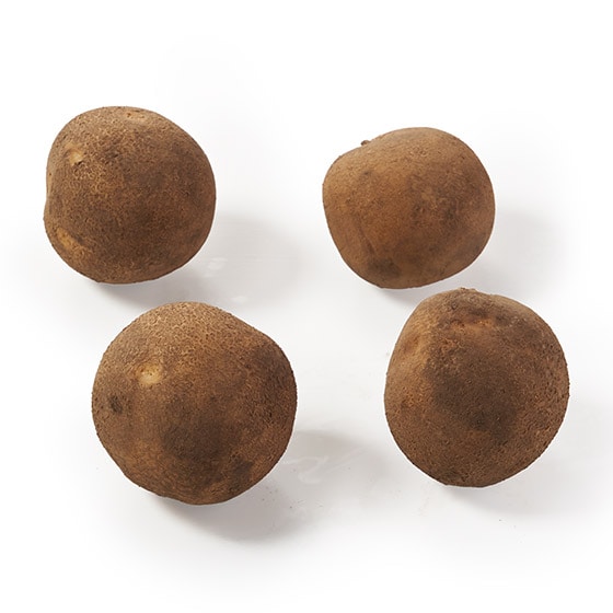 �O�������u�߂ɁI���\���Ⴊ����(�k�C���Y)