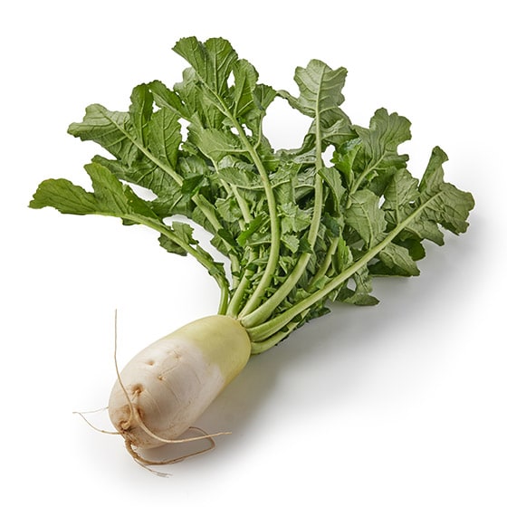 �c�����g���đ喞���I�t�t���~�j�卪(��t���Y)