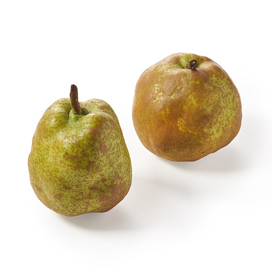 ���f�̌��ǂ� �����e�B ���t�����X(2�� �R�`���Y)