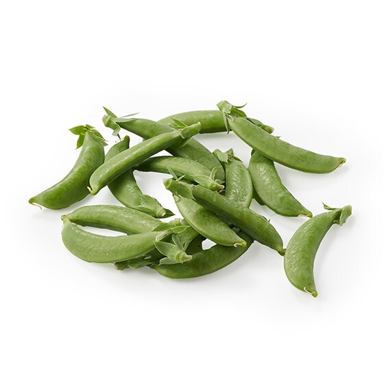 �ς�V���L�I�X�i�b�v�G���h�E(���茧�Y)