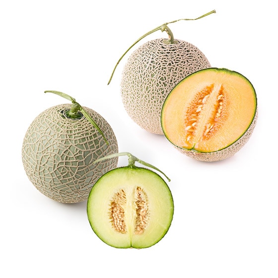 �y�M�t�g�����z���̃������H�ה�׃Z�b�g(�F�{���Y)