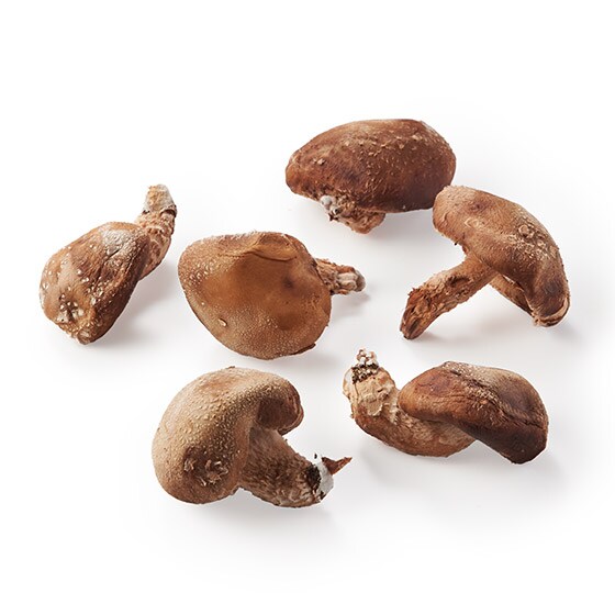 ����������B���藧���؂�������(��茧�Y)