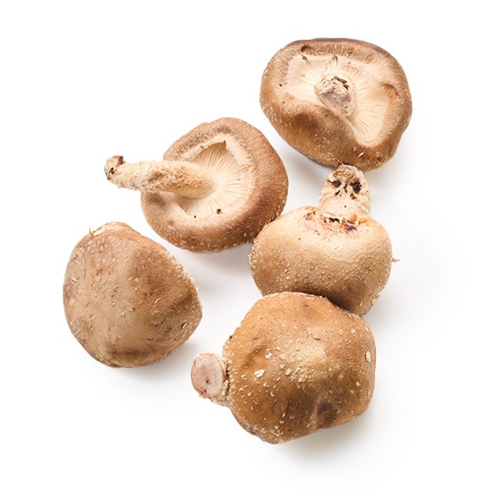 ����������B���藧���؂�������(��茧�Y)