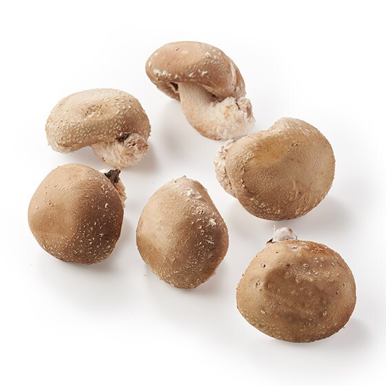 �ґ�Ȃ��ܖ��I�W�����{�Ȍ��؂�������(��茧�Y)