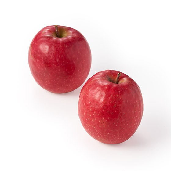 �Î_���ς� �s���N���f�B(R)(���ʂ�� ���쌧�Y)