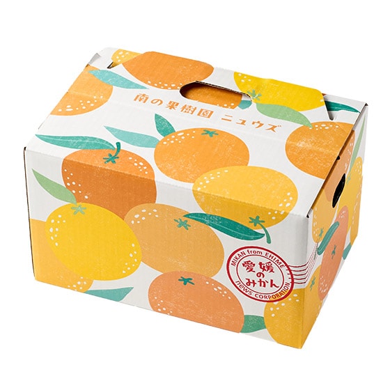 �L���[�g�Ȕ��łǂ�����!�W���[�V�[���Q�݂���(2.5kg)