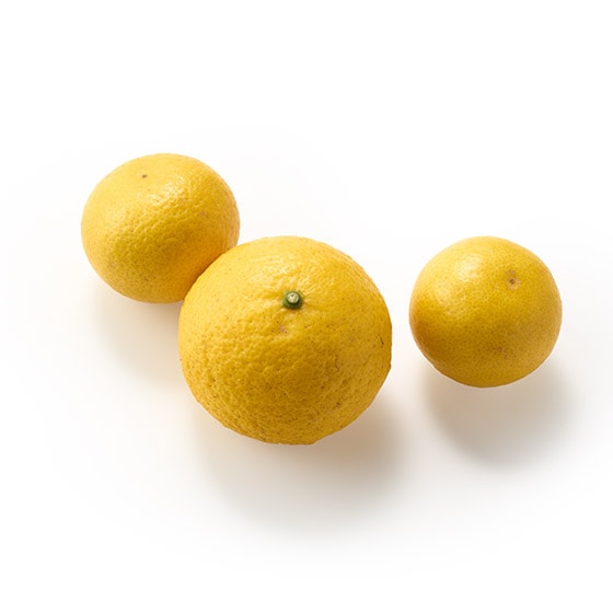 �u�₩�ȍ���͂�����I�X�J�b�V���݂���(�{�茧�Y)