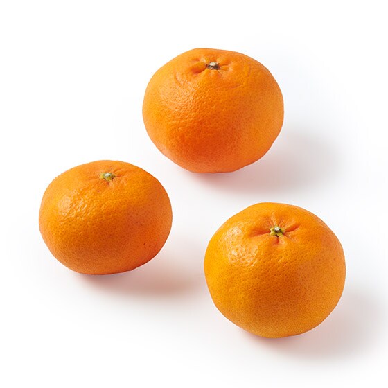 ���Q�̐��܂�̊Â��ۗ��Õ������(���Q���Y)