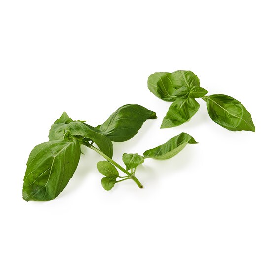 �y�f��Oisix�ʓY�z�o�W��(��t���Y)