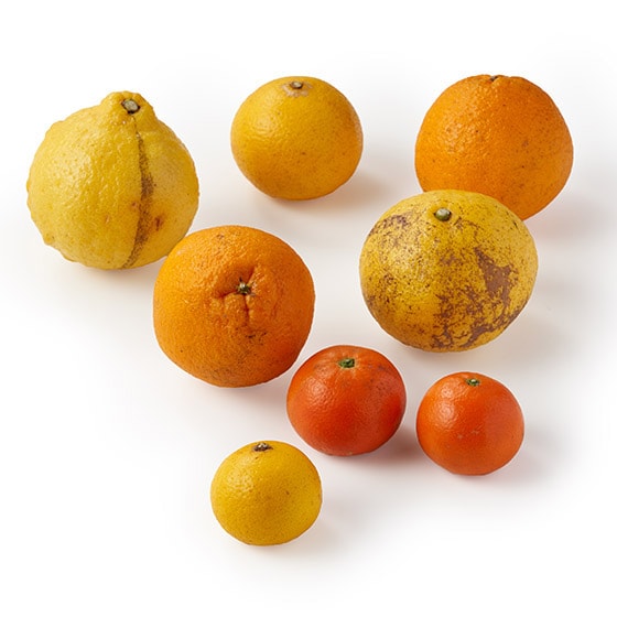 4��̏{�̊��k�l�ߍ��킹(1kg)