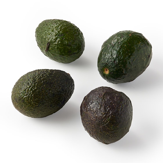 �y��e�ʁz���ʃA�{�J�h(4�� ���L�V�R�Y)