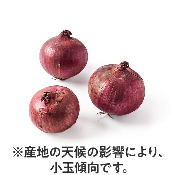 �y�\��z�ʂ�N�₩ �ԋʂ˂�(�k�C���Y)