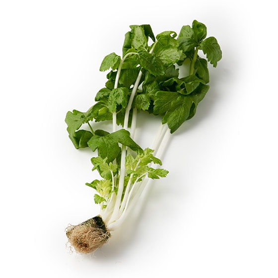 ����D�����V���L�b�ƐH�� �z���C�g�Z����(���䌧�Y)