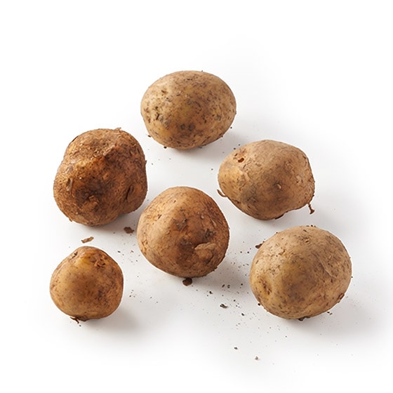 �y������e�ʁz�ق��ق����Ⴊ����(�j��)