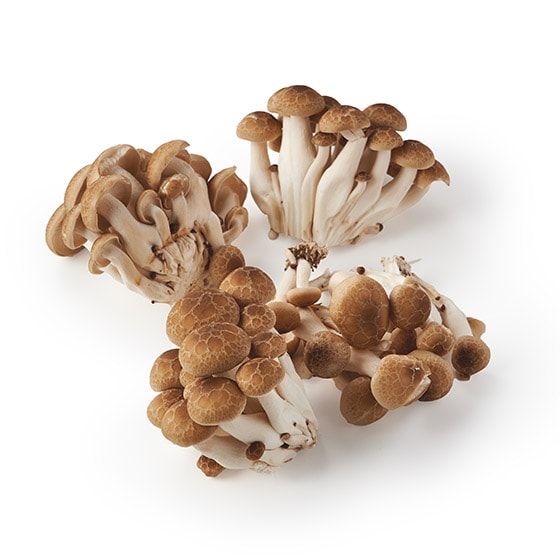 �y���ʁz�V���L���܁I �ԂȂ��߂�(���쌧�Y)