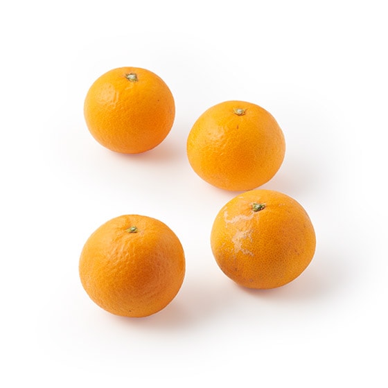 �ǂ���������đ喞���I�W���[�V�[���ʐ����I�����W