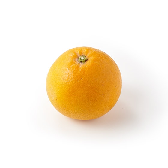 �܂�₩�ȊÂ݂Ǝ_���̃o�����X �͓��ӊ�(�F�{���Y)