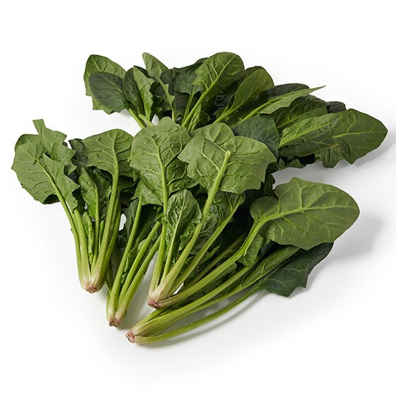 �y��e�ʁz�̂�߂��ق����(�Ȗ،��Y)