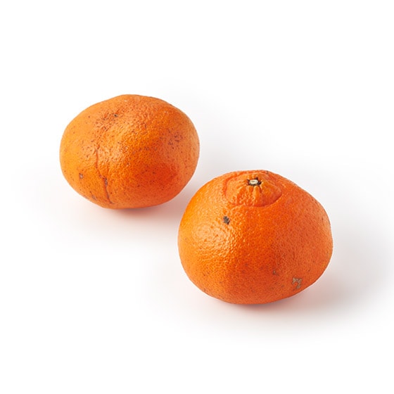 �Z���Ȗ��킢�I�L�@�͔|�Õ������(���Q���Y)