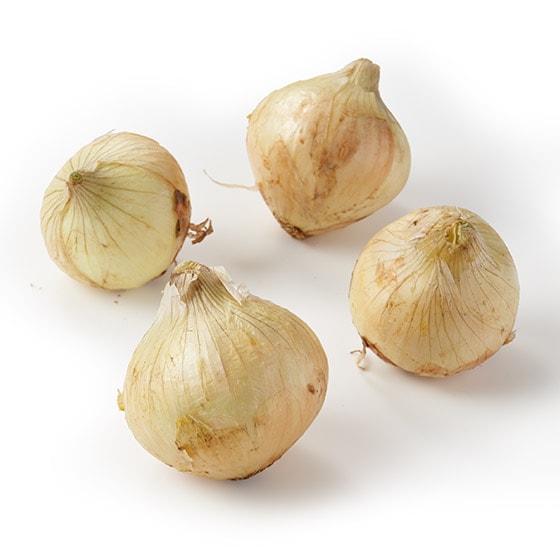 �ÃV���L�I�V�ʂ˂�(�É����Y)