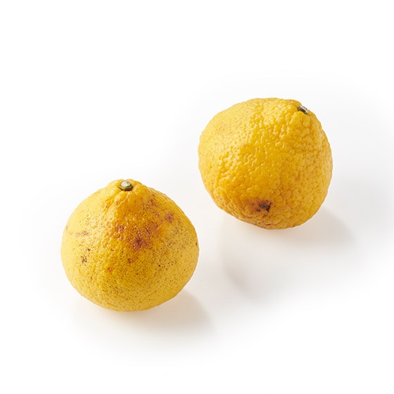 �t�̖��킢 �܂�₩�͂邩(�F�{�܂��͎��������Y)