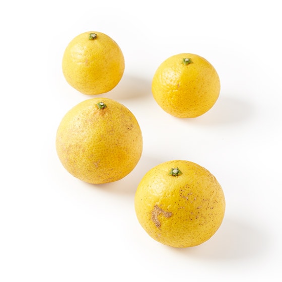 �u�₩�ɍ���I������(�F�{�܂��͎��������Y)