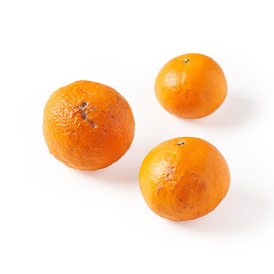 �Z���Â݂ƃW���[�V�[�ʏ` �Ȃ�(�������Y)