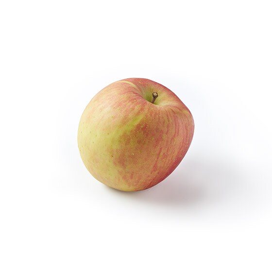 �������(�X���Y)