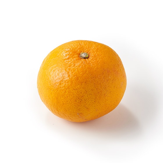 ���Ă̗��̖� ���܂����ς��T���t���[�c(���Q���Y)