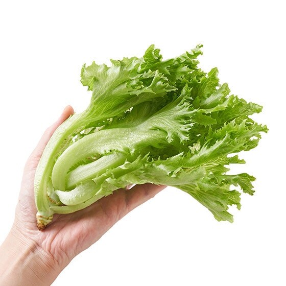�y�f��Oisix�ʓY�z�t�������^�X(45g �É����Y)