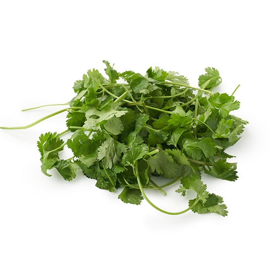 [�\��]�y�p�b��Vege�z�V���L�V���L�H���T���_�p�N�`�[
