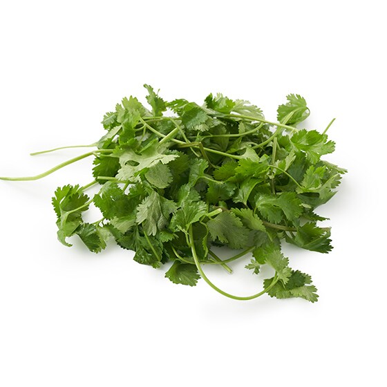 [�\��]�y�p�b��Vege�z�V���L�V���L�H���T���_�p�N�`�[