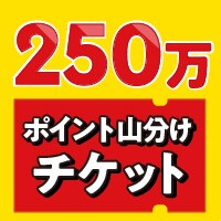 |CgR`Pbg(̃`Pbg͓͂܂)