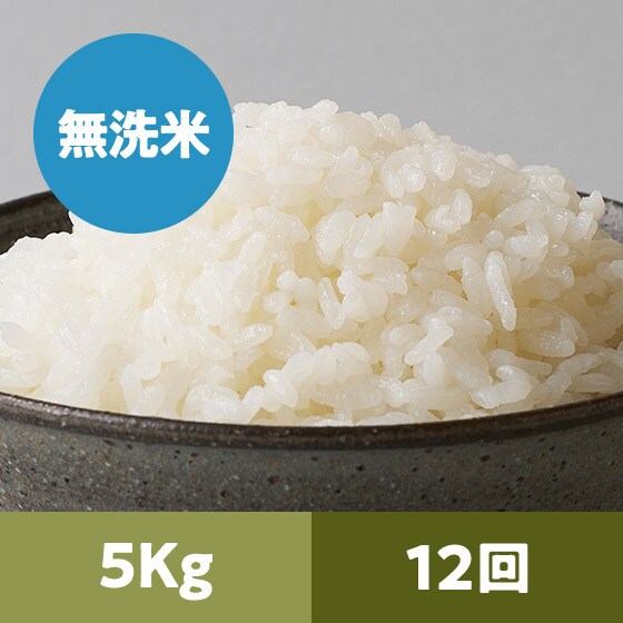 y2023Nė\z R`Y()5kg 12