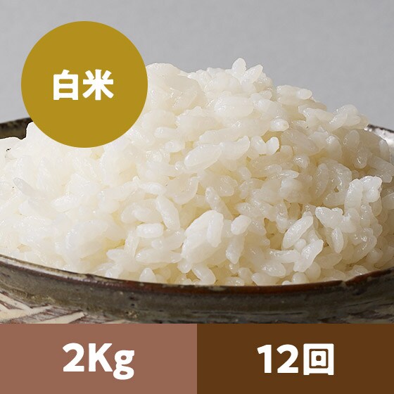 y2023Nė\zR`ЂƂ߂ڂꔒ2kg 12