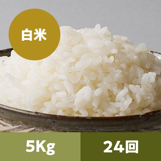 y2023Nė\zR`ЂƂ߂ڂꔒ5kg 24