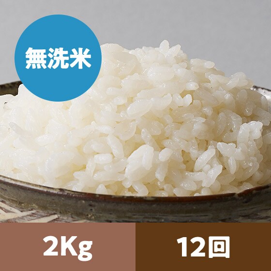 y2023Nė\zR`ЂƂ߂ڂꖳ2kg 12