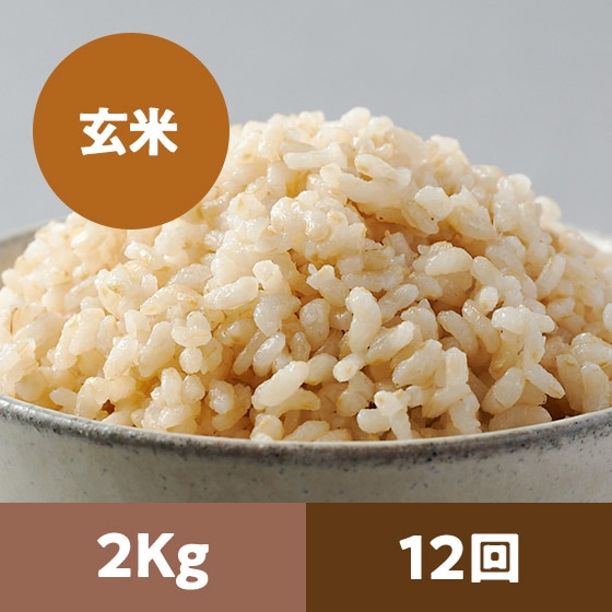 【2023年米予約】金芽ロウカット玄米2kg 12回