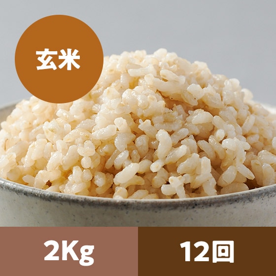 y2023Nė\z胍EJbg2kg 12
