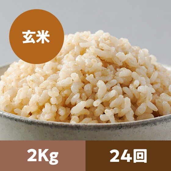 【2023年米予約】金芽ロウカット玄米2kg 24回