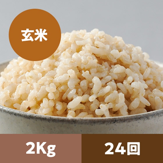 y2023Nė\z胍EJbg2kg 24
