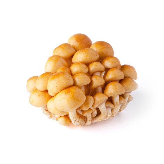 �y�����߂��p�z�����Ȃ߂�(���쌧�Y ��򂳂�)